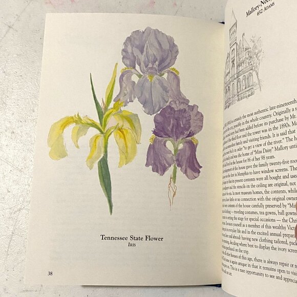 Memphis in Beauty Remembered Mueller Odle Hardcover Book Tennessee USA - Picture 8 of 9